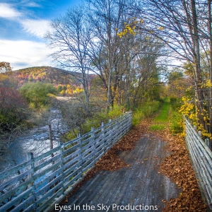 Pat McGee Trail: South of Little Valley and North of Salamanca, NY