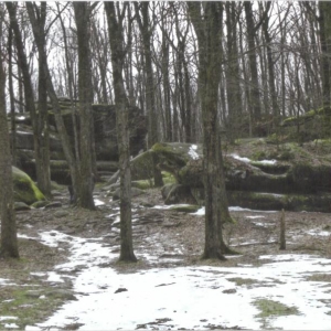Photo of Thunder Rocks at Allegany State Park