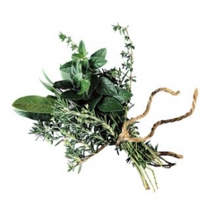 herbs