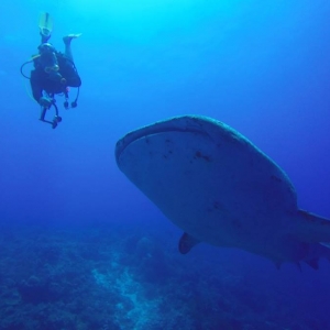 J&D Scuba Exotic Dive Trip Photo