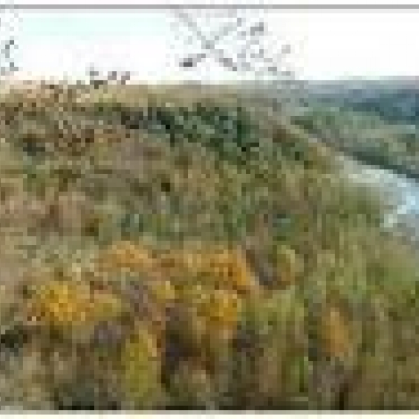 Photo of Zoar Valley – North Otto water access