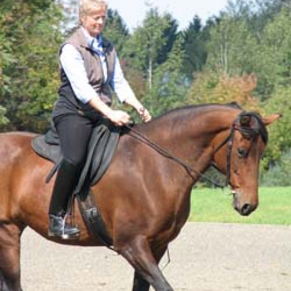 Golden Stride Walker Ranch