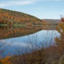 Fall in Allegany State Park