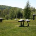 Griffis Sculpture Park