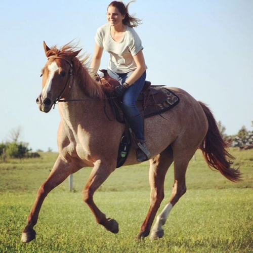 Photo of Boyd Family Ranch