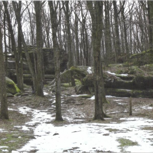 Photo of Thunder Rocks at Allegany State Park