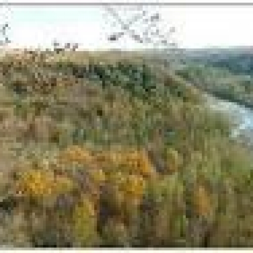 Photo of Zoar Valley – North Otto water access