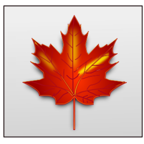 Photo of Church's Maple Products