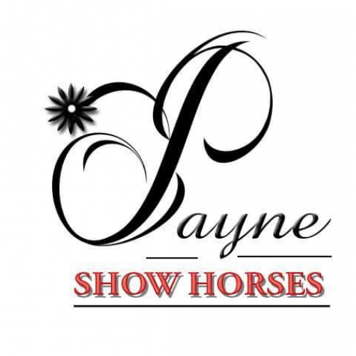 Photo of Payne Show Horses